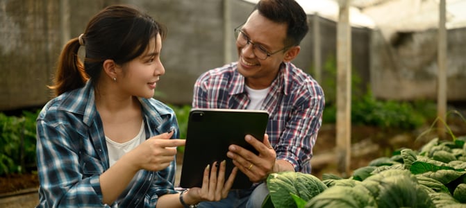 Modern Workplace and Collaboration